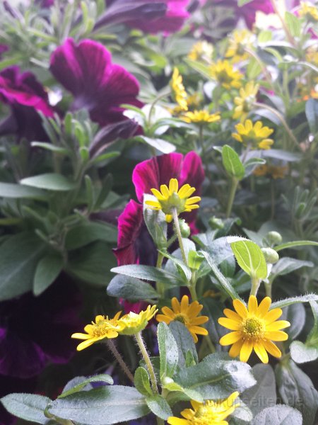 2014-06-29 20.49.09.jpg